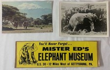 MISTER ED'S ELEPHANT MUSEUM BUMPER STICKER +Jumbo photo, Kenya greeting card