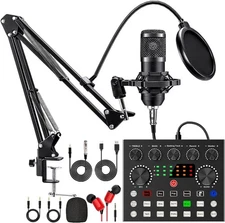 Microfono Condensador De Estudio Profesional Para PC Youtubers Podcast Streaming