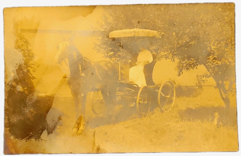 1904 AZO Real Photo Postcard Horse and Carriage Unposted RPPC