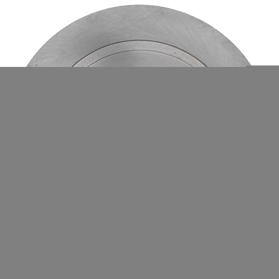 盘式制动转子适合 1991 - 1999 年日产 Sentra 200SX NX RAYBESTOS — 第 3/3 张图片