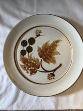 Denby Cotswold 6 Side Tea Plates Brown Stoneware 1973 Floral Vintage Set Retro