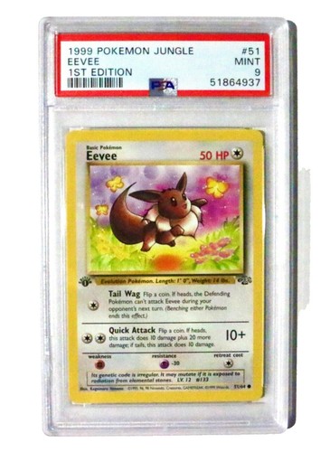 pokemon illustration contest 2024 cards Pokemon Illustration Contest 2024 Promo Card Pack – 26 Cards