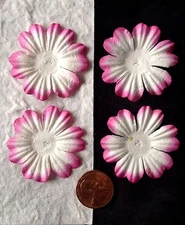 10 Flowers Petals white pink flower Handmade Mulberry Paper baby girl Cards 