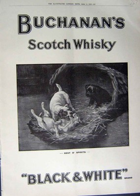 Alter Druck Ref.954 1912 Reklame Buchanans Scotch Whisky schwarz weiß