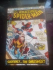 The Amazing Spider-Man #116 (Marvel Comics January 1973)