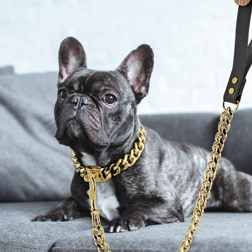 Cuban Link Chain Dog Lead Leash with Leather Handle 19mm Thick Heavy Duty Gold - Picture 10 of 14