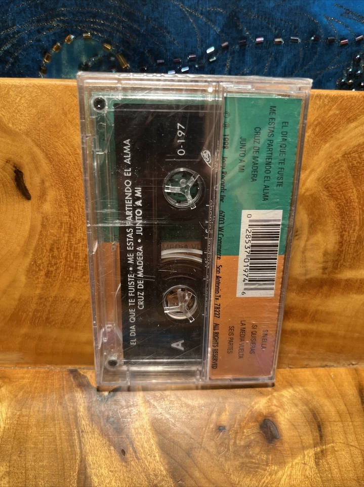 Lo Mejer De Michael Salgado Cassette Tex-Mex Music Brand New! Sealed - Image 3 of 4