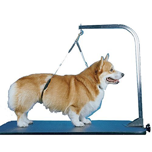 Pro Guard NoSit Haunch Holder Dog Grooming Restraint Large Dogs eBay