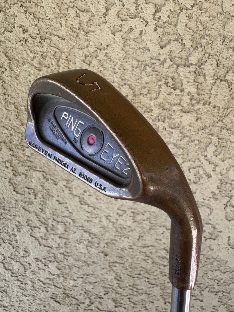 Ping Eye 2 Copper Red Dot for sale | eBay