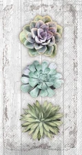 Boston International IHR Guest Towel Napkins, 8.5"x4.5", Succulent Design