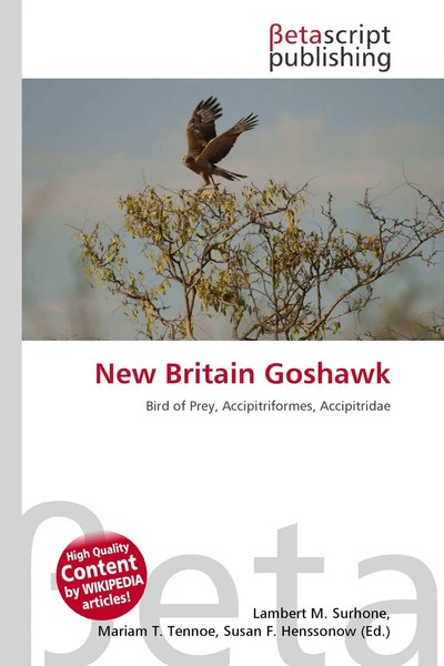 Lambert M. Surhone (U. A.) | New Britain Goshawk | Taschenbuch | Englisch (2026)-image