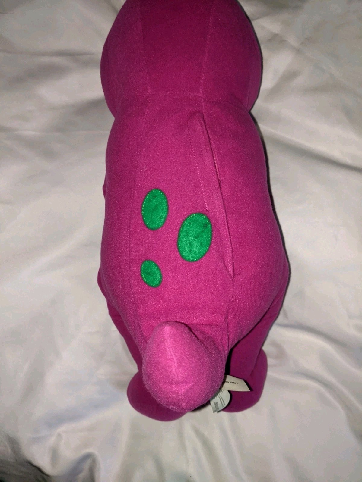 Picture 24 of 24