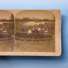 Chicago Il Stereoview um 1895 USA Echt Foto Washington Park Blumenuhr getönt
