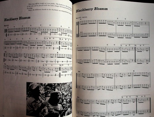 Mandolin Teach Yourself Bluegrass Song Sheet Lesson Music Book - Picture 5 of 7