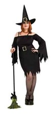 Secret Wishes Wicked Witch Costume - Queen - Dress Size 18-20