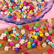 1800 PCS Small Dried Flowers for Crafts Resin - Tiny Dried Flowers for Nails, Na