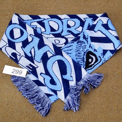 299 Fanschal Icedragons Erding Fransen 160 x 15 cm Fire on Ice