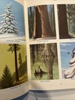 Lot Of 2 Hammond’s 1958 Nature Guide/1955 World Atlas Books — photo 6