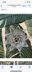 BRAND NEW GLASS/CRYSTAL CHANDELIER SHADE — photo 7