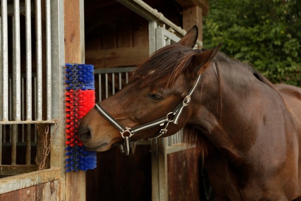 Kerbl KratzbüRste Halbrund 50Cm, KuhbüRste, ViehbüRste FüR Rinder Und Pferde-image