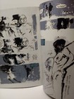 Picture 17 of 20
