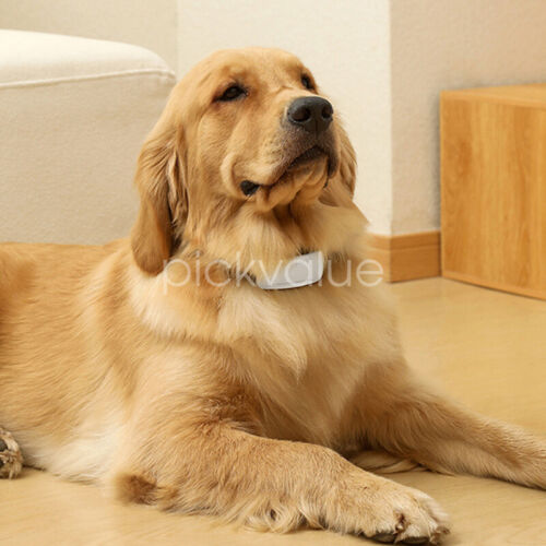Anti Bark Dog Collar Auto Stop Barking Training Collar Obedience Rechargeable - Picture 11 of 13