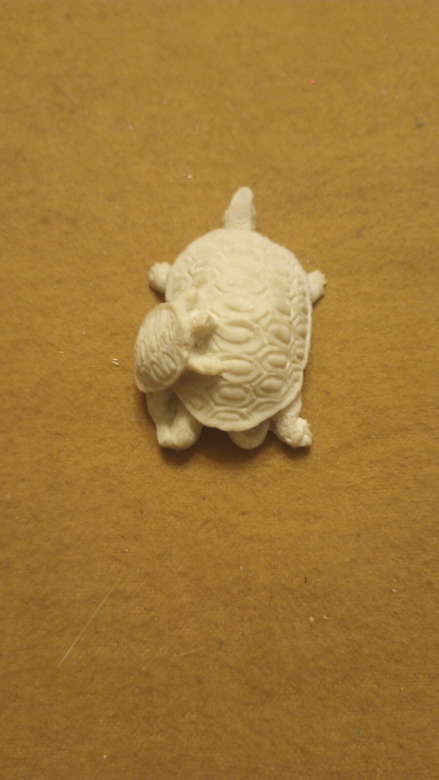 Picture 5 of 8