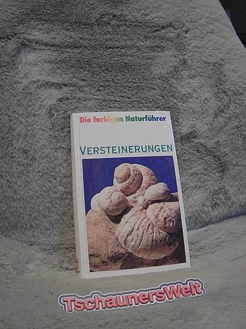 Bild 1 von 1