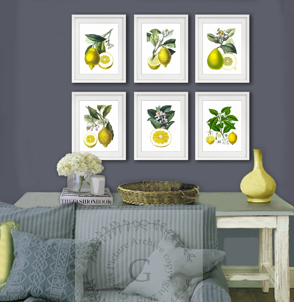 Farmhouse Kitchen Decor Lemons Art Print Set of 6 Unframed Botanical art