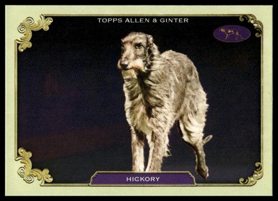 2024 Topps Allen & Ginter #SOS-21 Hickory Stars of the Show