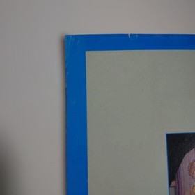 Takahashi's Bug Honey Guidebook Accessory for Famicom  Used Good