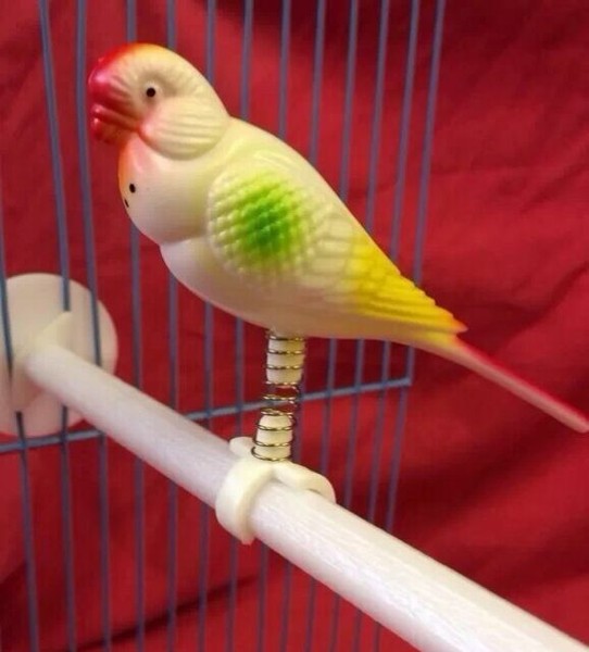 plastic parakeet buddy