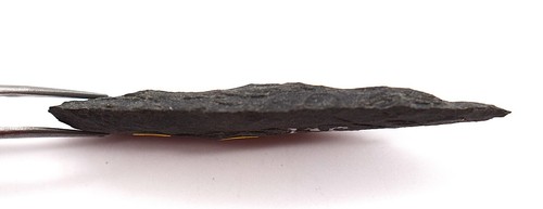 Columbia River artifacts - #73.-330 - Basalt Cascade Leaf point - Priest Rapids - Picture 7 of 7