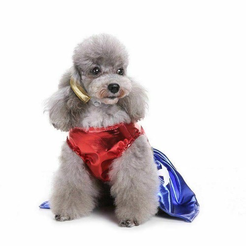 Wonder Woman Girl Pet Costume Cosplay Comics Dog Halloween Fancy Dress Size- M - Picture 3 of 10