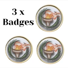 3 x Victory Torch (BU5) Lapel Pin Badges