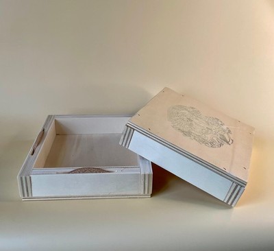 Leere Masterbox für Armenien Arche Noah Silbermünzen 1/4 oz Leer