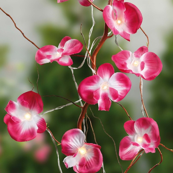 Led Lichterkette Orchideen, 10 Leds, Batteriebetrieben, Tischdekoration 300178-image
