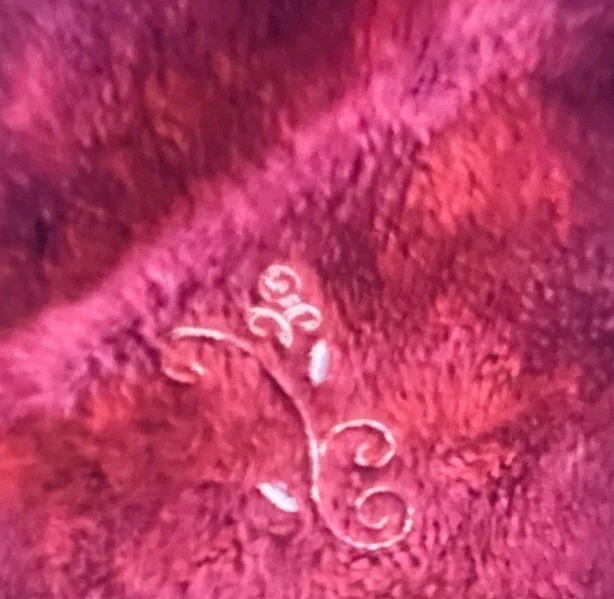 Picture 5 of 5