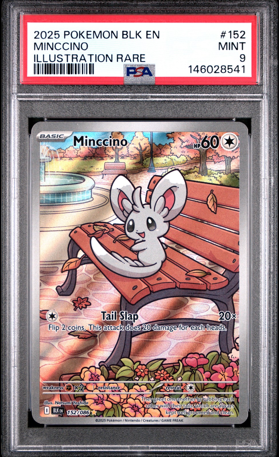 Minccino #152