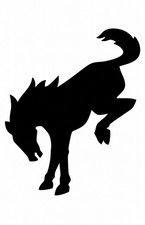 Vinyl Horse Decal Stickers Fitscompatible W Ford Bronco Many Colors Vinyl Horse Decal Stickers Fitscompatible W Ford Bronco Many Colors
