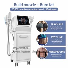Máquina de lipólisis crioterapia fresca congelación de grasa corporal RF electromagnética 2 en 1