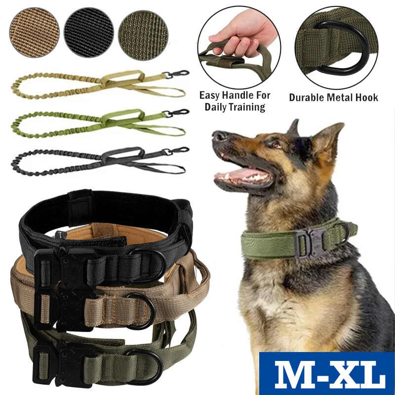 Formula 1 hotsell dog collar
