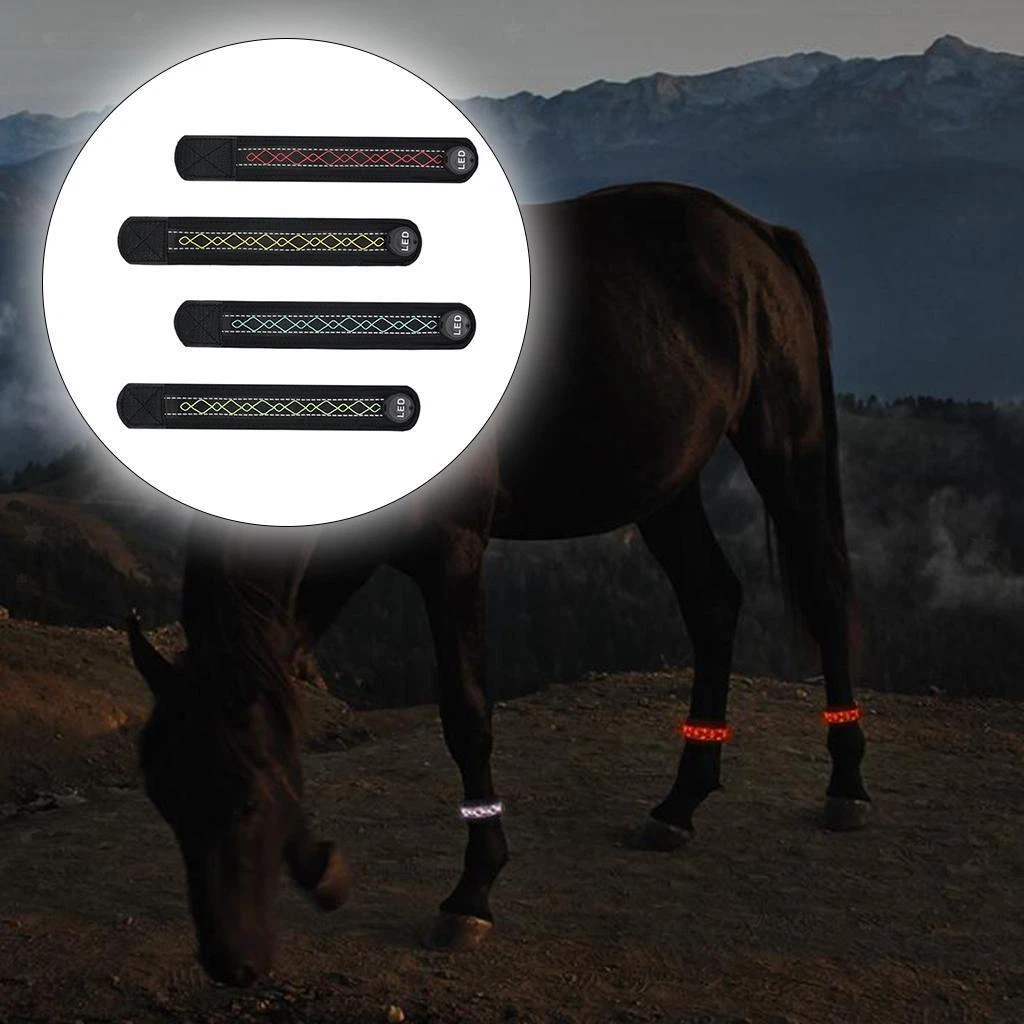 Equestrian supply online