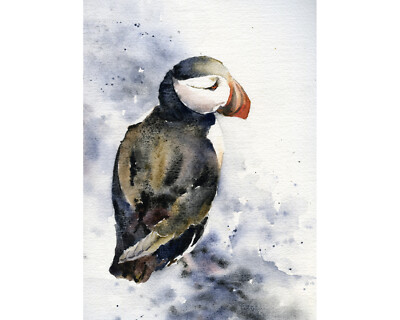 Puffin in Iceland art. Watercolor painting Puffin Iceland bird decor art (print)