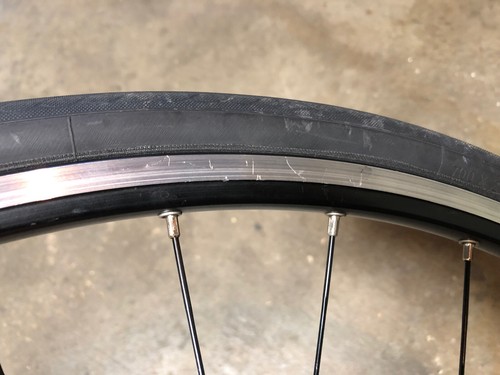 新品の通販 campagnolo veloce neutron kamsin パーツホイール www