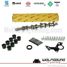 OES Lubeck Volkswagen Jetta 05 06 BRM TDI Diesel OEM Camshaft Lifter Bearing Set