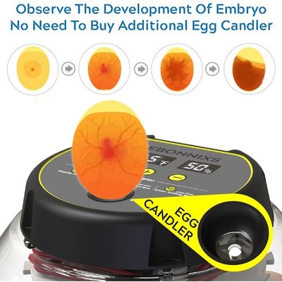 12-Egg Incubator with Humidity Display & Auto Egg Turner for
