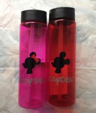 Disney Cruise Line or Disney world Or Disneyland Customized Water bottles