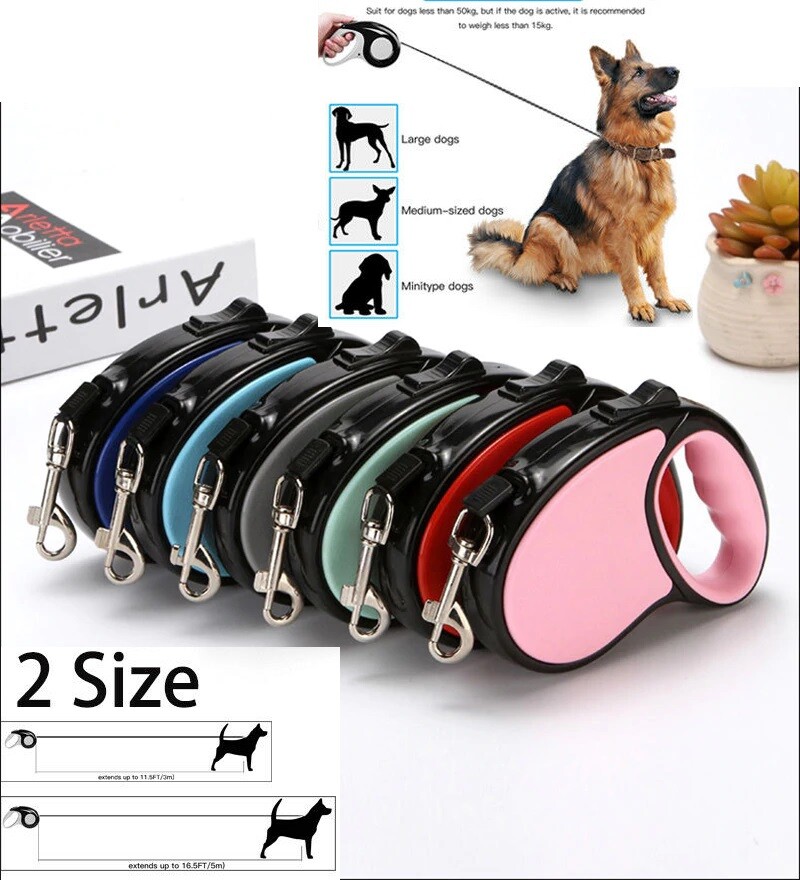 dog leash that extends