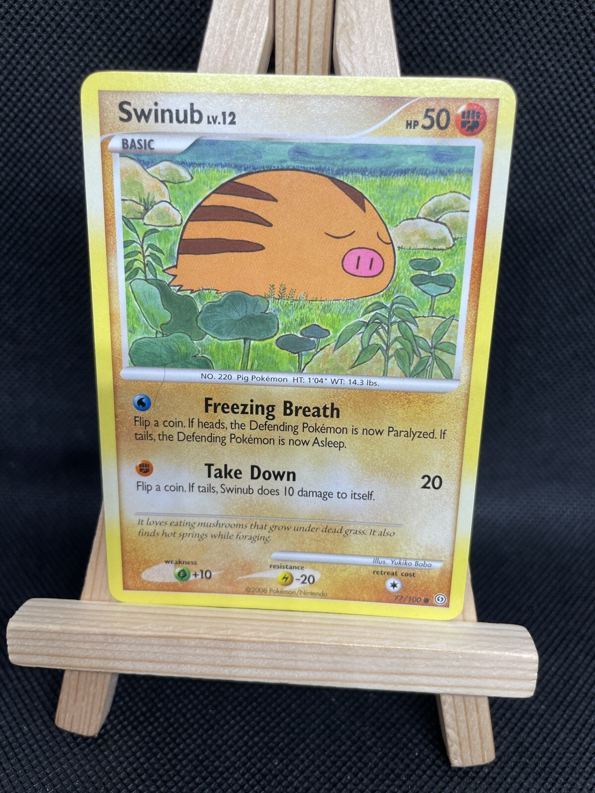 Pokémon TCG Swinub Stormfront 77/100 Regular